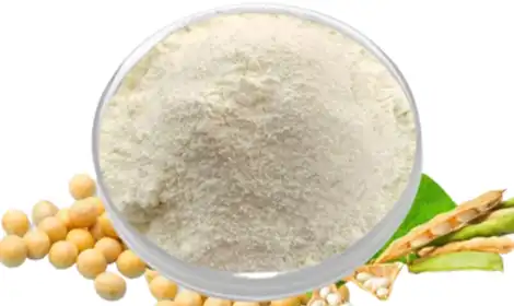 Understanding the Effects of Soybean Peptides